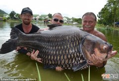 英国男子到泰国湖泊钓鱼 搏斗90分钟钓获222磅暹罗鲤打破世界纪录