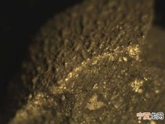 一种罕见陨石——碳质球粒陨石