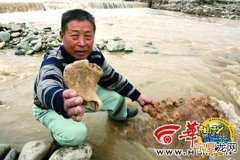 陕西富平石川河道发现大量古动物化石