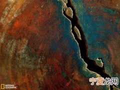 达芬奇的理论手稿感染真菌