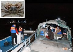 上海警方打掉从事非法捕捞的犯罪集团 长期在九段沙湿地国家级自然保护区内