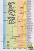 分子生物学揭示盲蛇类演化最新进展