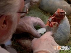 海葵基因组带来的惊讶