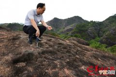 河源发现恐龙蛋新属种