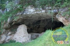 穴居人基因组可望两年内完成初步测序