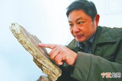 临沭亿万年前恐龙漫步
