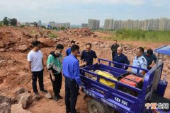 广东省河源市区32枚遭偷盗的恐龙蛋化石被追回