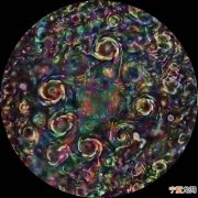NASA公布木星北极迷幻图：“朱诺号”探测器拍摄的照片加工版