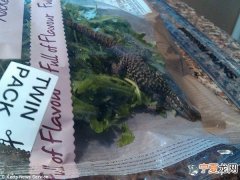 英国一居民超市购蔬菜中惊现活蜥蜴