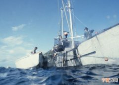 英美等多国公司签协议拒用北极渔获保海洋生态