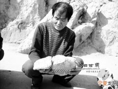 华池发现草原猛犸象化石