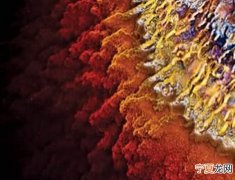 在末日前的10亿年里地球上唯一生命将是单细胞微生物