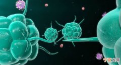 科学家揭开伴随恶性肿瘤出现的细胞变化的奥秘