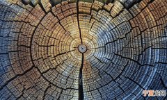 研究人员基于大量数据修订了近5.5万年的放射性碳测年法校准曲线