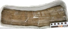 美国佛罗里达州沉洞挖掘出的石器工具和兽骨可能将人类踏足美洲的时间提早约