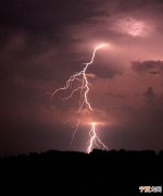 electrical hum 动物的神秘“电嗡嗡声”可能来自于原始的闪电