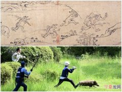 日本福冈市大濠公园警察捕野猪场面激似国宝级古画《鸟兽戏画》