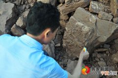 江西境内首次发现恐龙脚印化石？