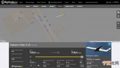 诡异？日本成田机场惊见1985年大阪空难JL123航班客机 现踪雷达持续半小时