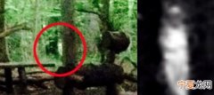 英国女子露营时拍到疑似鬼魂