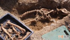 Black Shuck 英国坟墓掘出巨犬骸骨 怀疑是传说中的“黑魔鬼”怪兽