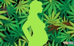 最新研究表明食用大麻或THC类产品的女性可能很难怀孕