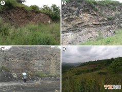 二叠纪末大灭绝之后湖泊和森林生态系统需要1000万年时间才能明显恢复
