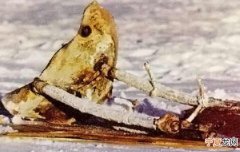 核放射雨：1978年1月24日凌晨苏联核动力军事卫星“宇宙-954”坠落加拿大